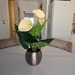 Mak Lejlighed Portorož