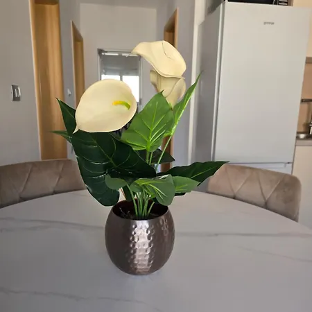 Mak Apartmán Portorož