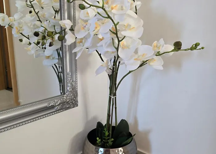 Διαμέρισμα Mak Πορτορόζ