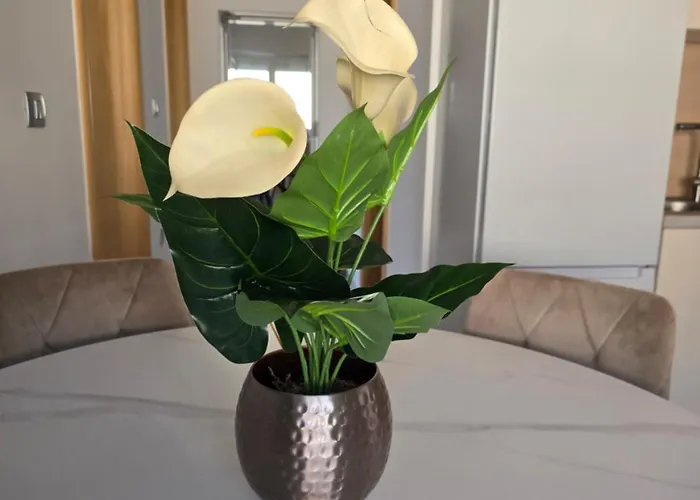 Mak Διαμέρισμα Πορτορόζ