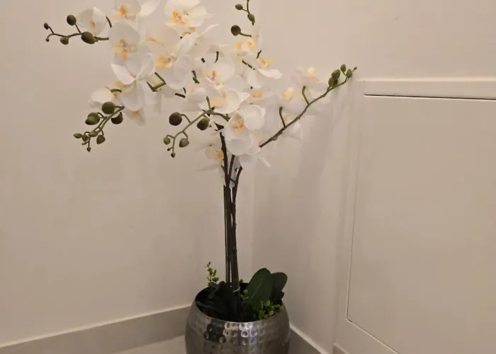 Διαμέρισμα Mak